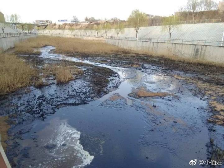 榆林市靖边县芦河里原油污染程度触目惊心