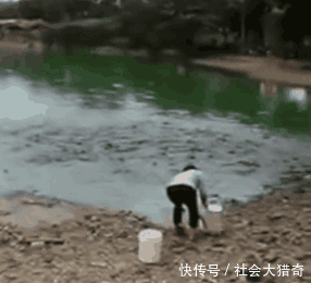 女子去鱼塘喂鱼, 不小心将鱼食落岸边, 结果却让