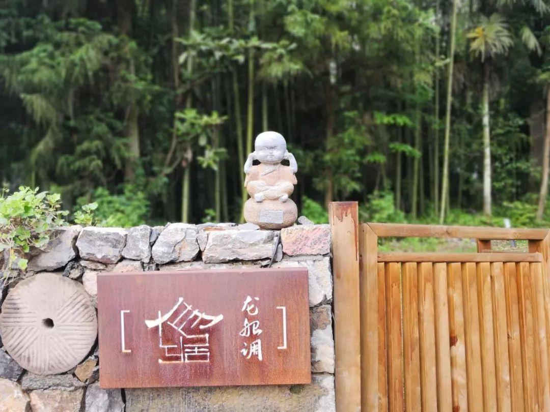 未来的209天,杭州人去这些景点门票全部有优惠