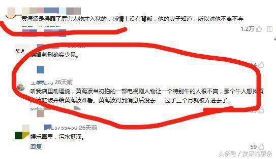 黄海波新剧待播,被陷害真相浮出水面,害人者你