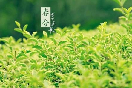 春分钓鱼深水还是浅水好 秋天闭口迟春季开口