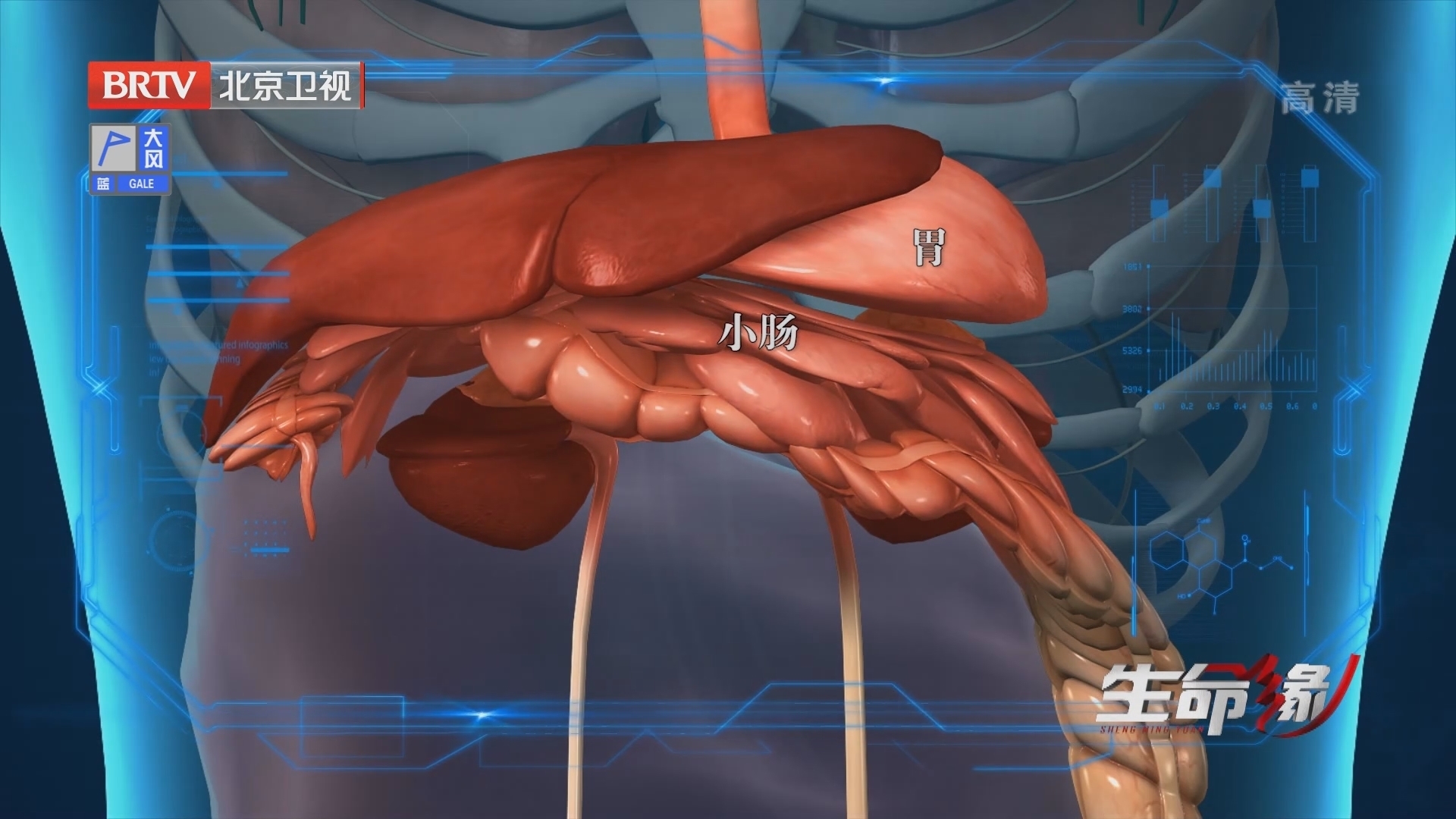 《生命缘》20220425“蓝蓝”的天空