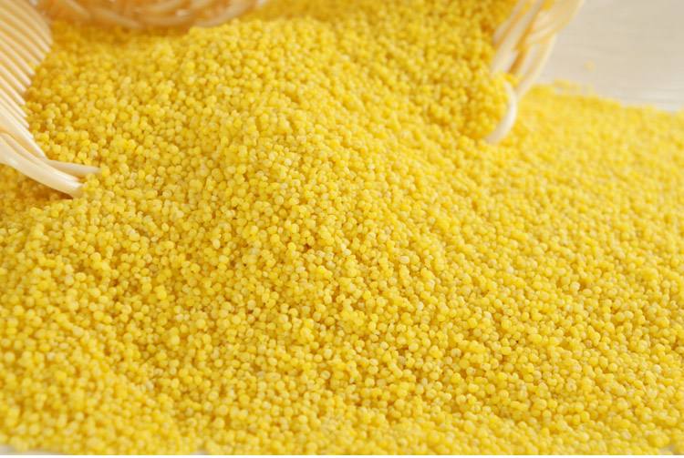 小米营养丰富,但是究竟什么样的人不适合吃它