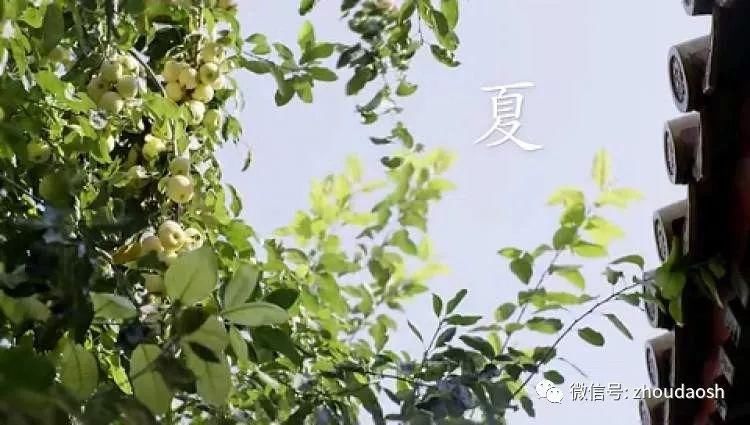 故宫真的有秘密地道!但和你想的不一样 | 故宫