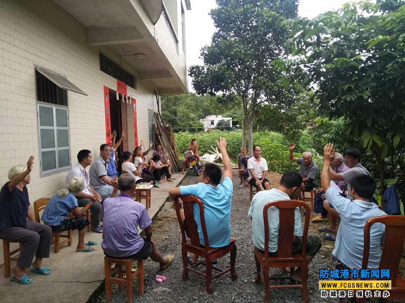 防城区扎实推进村(社区)"两委"换届选举工作