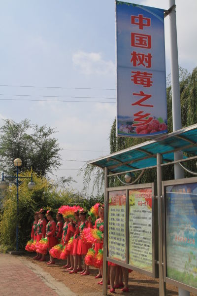 中新辽宁网1月12日电 (沈殿成)法库县秀水河子镇八家子村,村里的街道