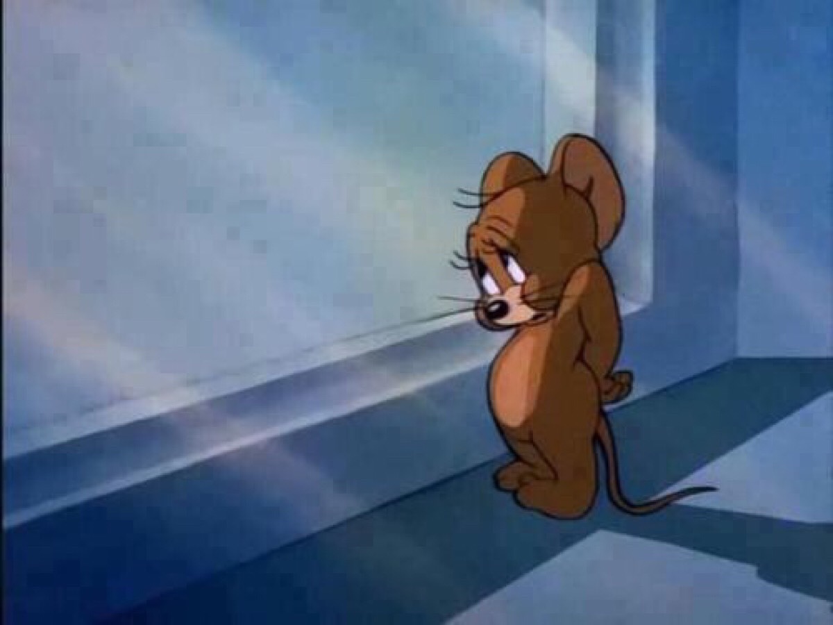 现实版的猫和老鼠:耗子杰瑞终于被逮