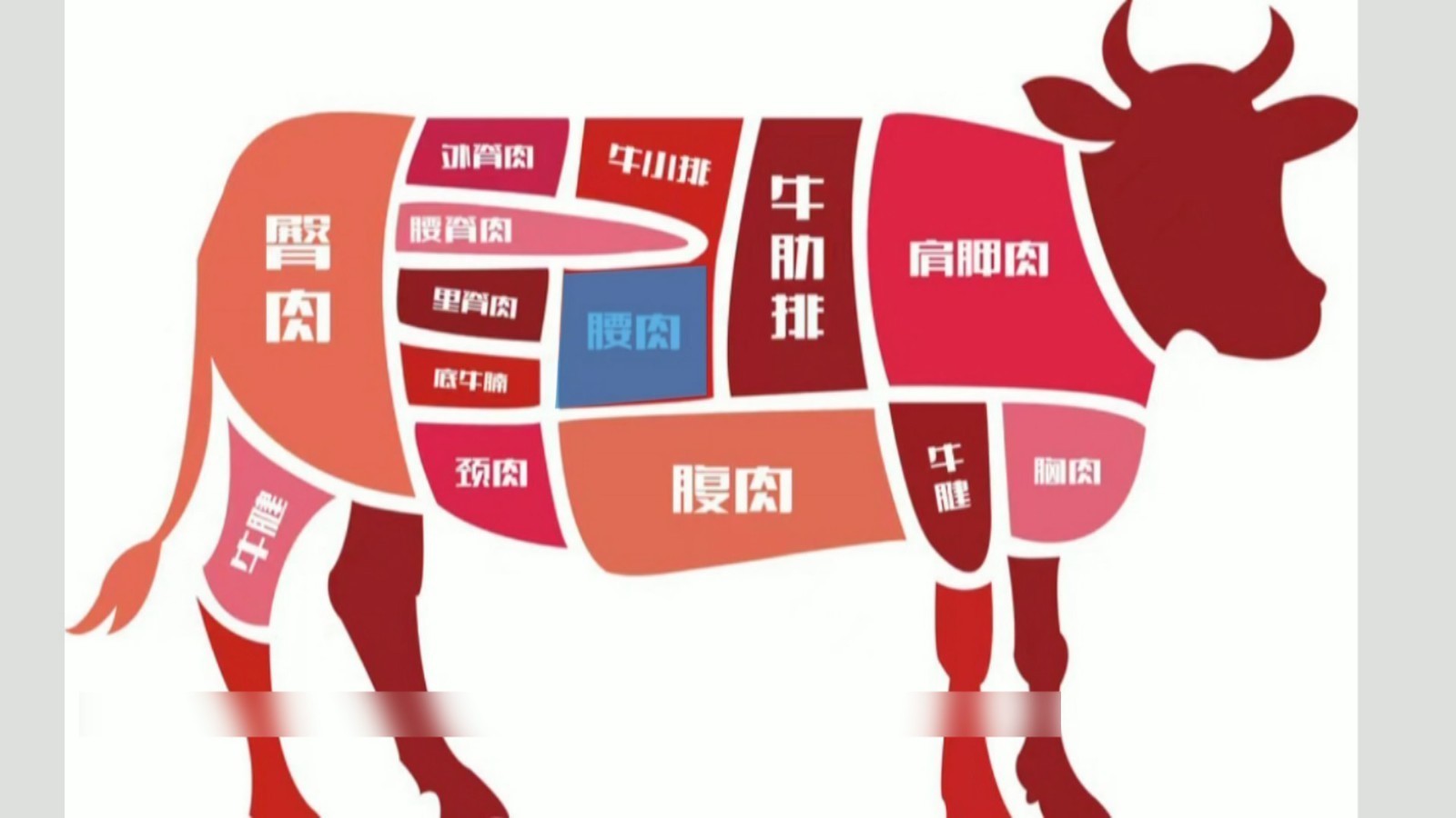 酱牛腱子肉 选前腿还是选后腿? 酱牛腱子肉 选前腿还是选后腿?