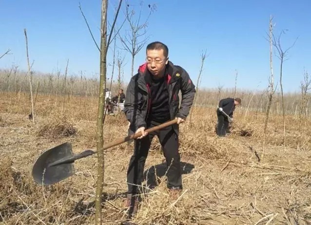 赵建亮在党员义务植树林里植树