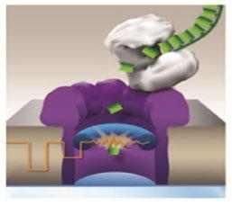 第三代基因测序技术简介