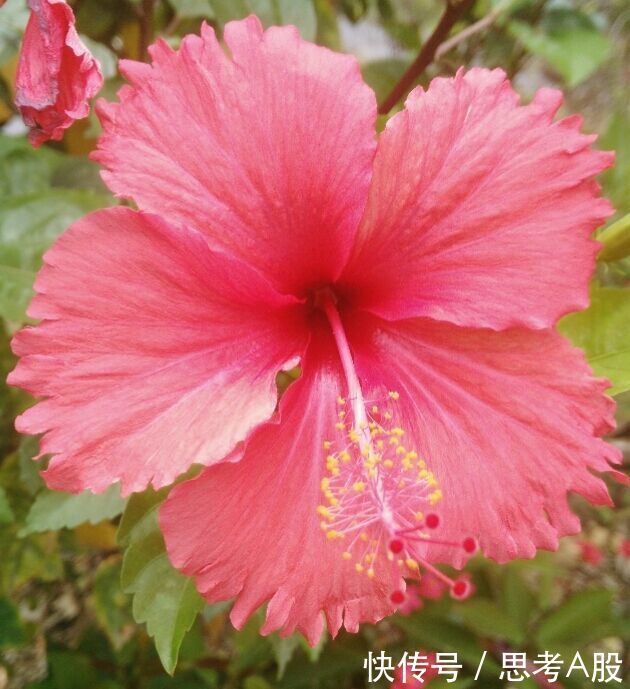 银行理财经理去证券可以做什么岗位?