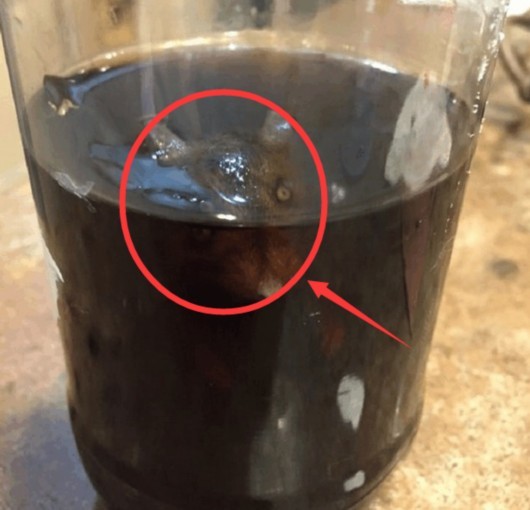 爷爷给孙子买可乐解渴 喝一半发现瓶中瞪着眼睛 爷爷给孙子买可乐解渴 喝一半发现瓶中瞪着眼睛
