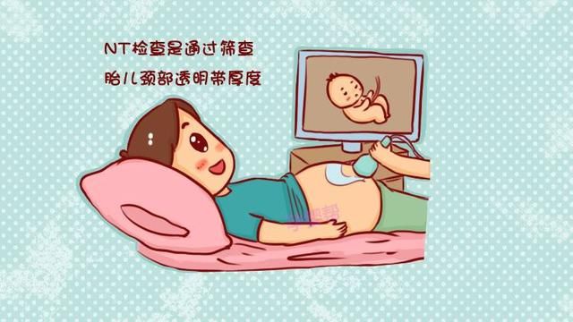 孕期NT检查是什么?和唐筛又有什么区别呢?