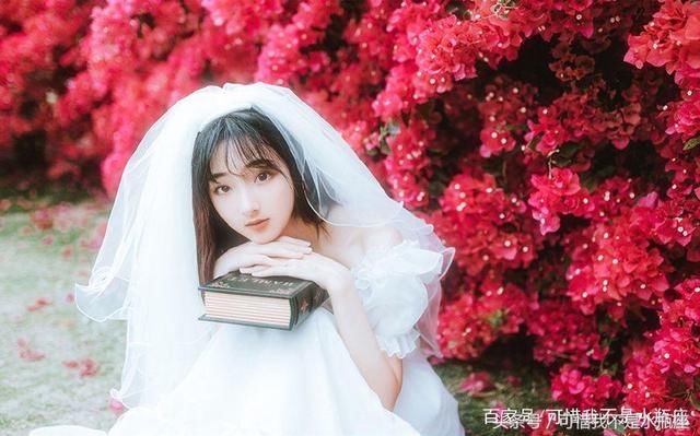 全!12星座2019年运势详解(事业,爱情,财富,健康