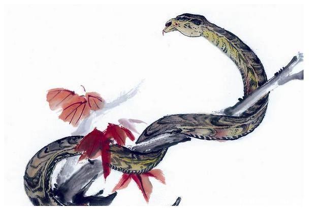 属相蛇的人,今年恰逢【驿马】活动带来吉祥的代表和【金舆】贵人鼎力