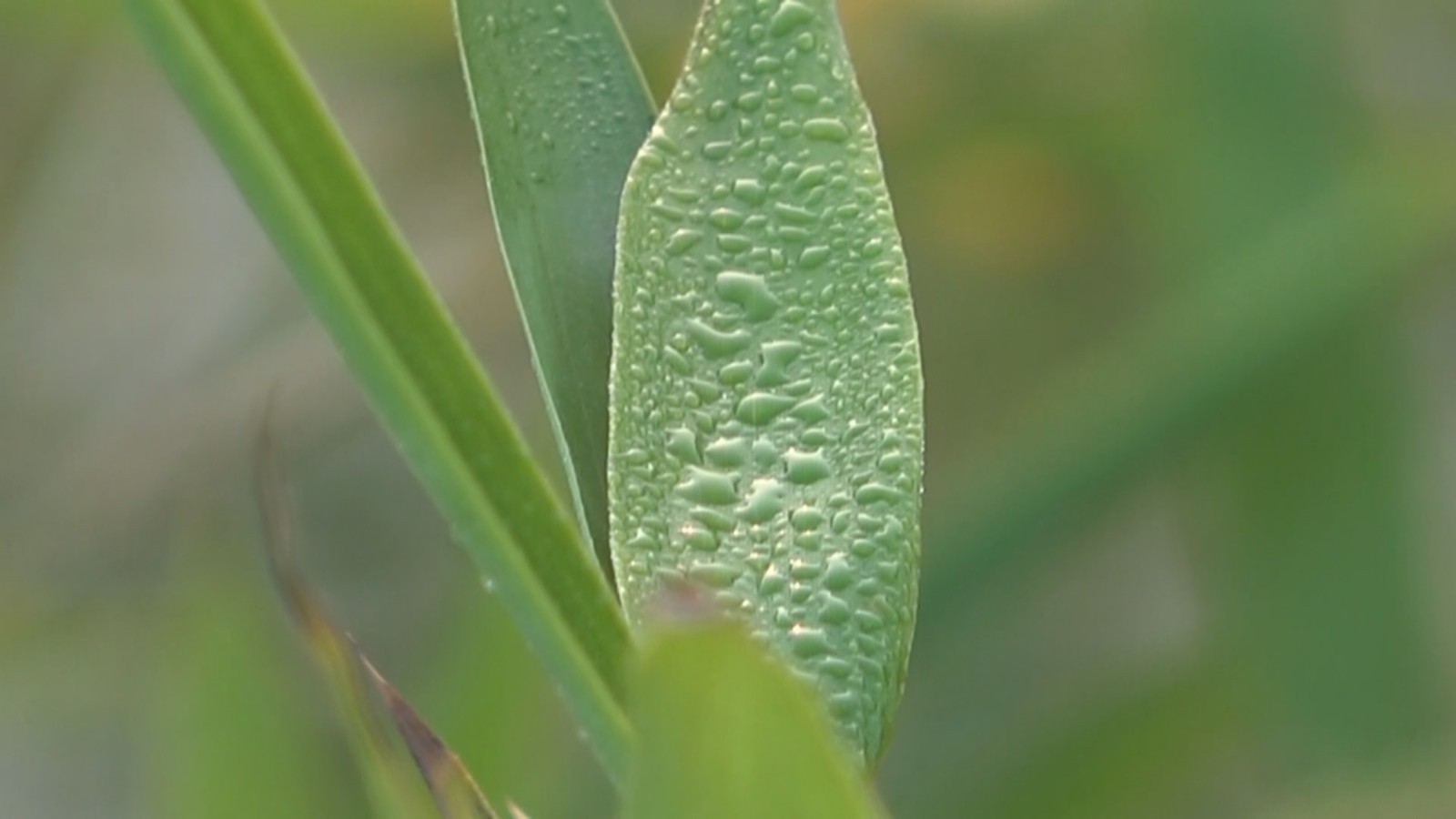 今日霜降丨这些小问题您注意到了吗？