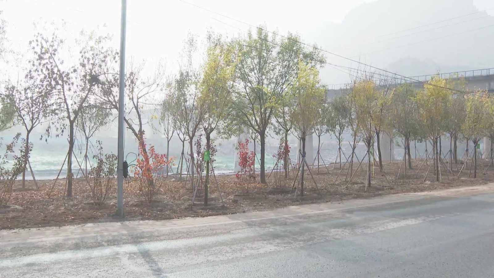 房山区全力推进108国道沿线园林景观恢复重建工作