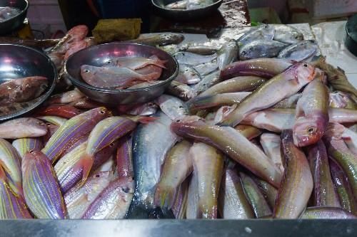 海南三亚早市上的水果和海鲜,海南青芒12元1斤