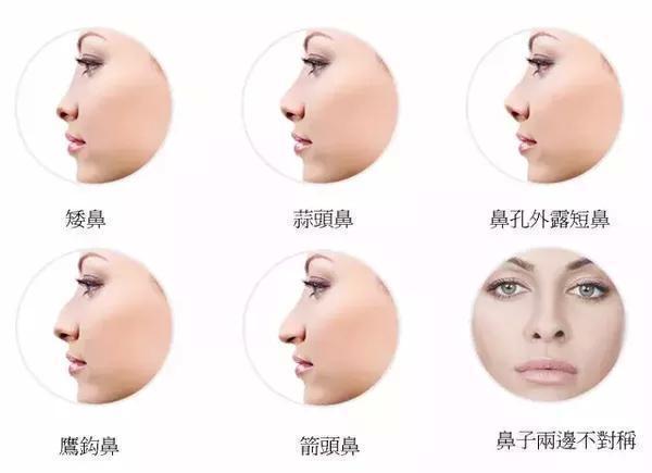 面相中鼻子的秘密:从鼻子预测你一生事业财运!