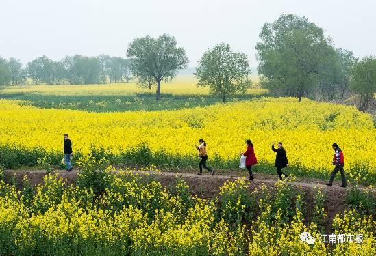 为什么江西有这么多人向往乡村,这是我听过最