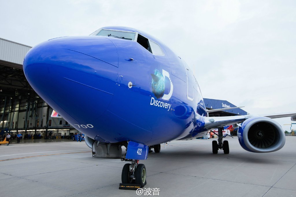 看鲨鱼在飞:美西南航空推鲨鱼周主题彩绘机