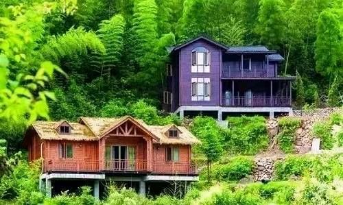 十个突破口,打通乡村振兴的道路