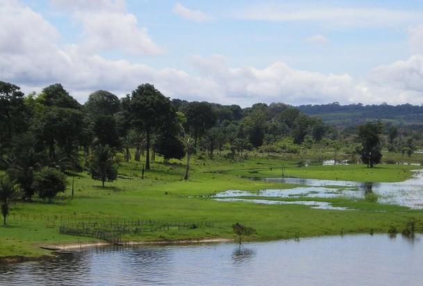 这条支流全长3378公里,流域面积130万平方公里