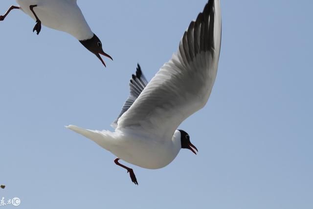 云南最大的淡水湖也是中国国家旅游渡假区你值
