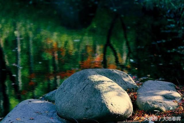 简短几句话,把人生讲透了,大彻大悟!