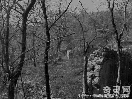 山村异事:会说话的黄皮子