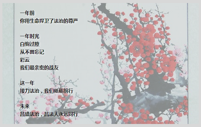 祭彩云∣这一年 用生命捍卫法治的尊严