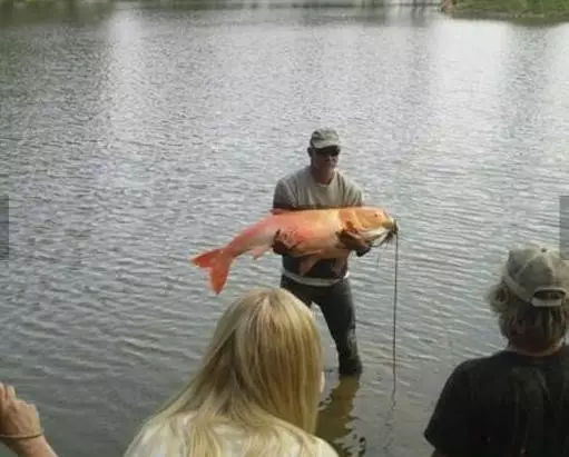 男子兴奋的抱起鱼向周围的人炫耀，没想到这个举动却惊动了警察。
