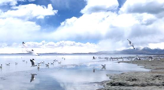 在工作的路上,竟能有这样的奇遇人生 在工作的路上,竟能有这样的奇遇人生