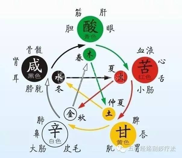 每天学一点中医之五行学说