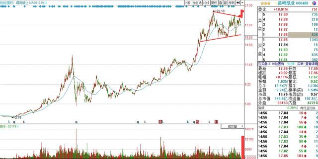 3只造纸行业的龙头股,未来可能翻倍,股民必须