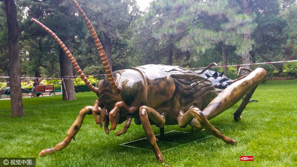 昆虫“爬进”景山公园 成孩子暑假好去处