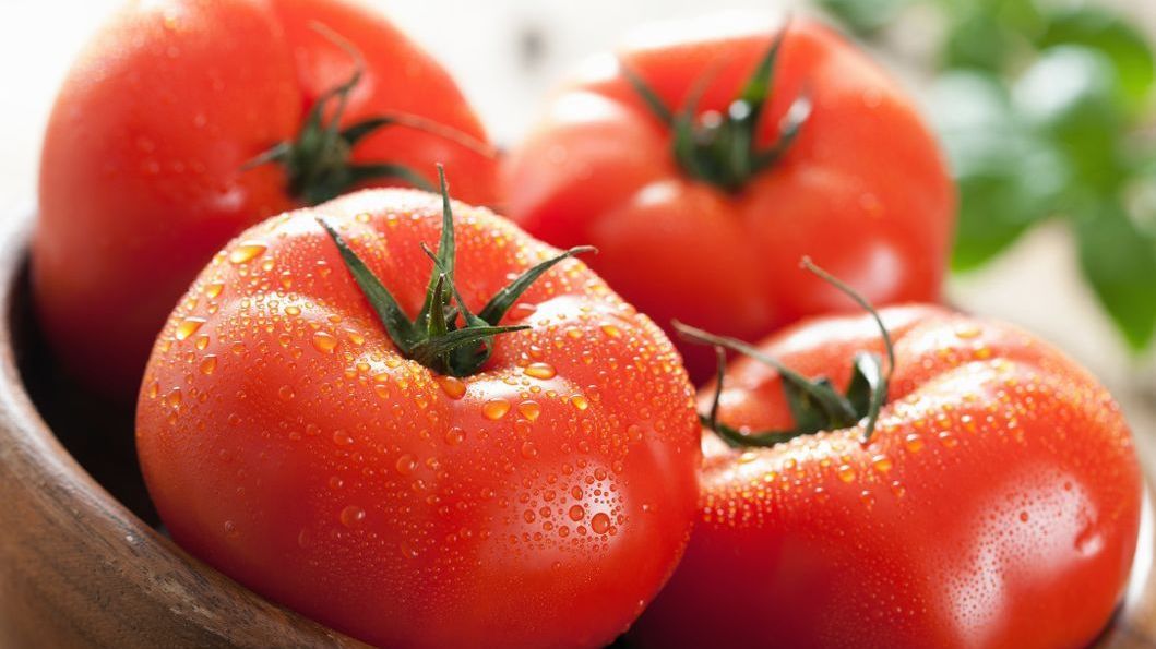 这沙沙糯糯、满口飚汁的普罗旺斯西红柿,竟还原了小时候的老味道~ 这沙沙糯糯、满口飚汁的普罗旺斯西红柿,竟还原了小时候的老味道~