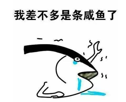 我差不多是条咸鱼了梗是什么意思