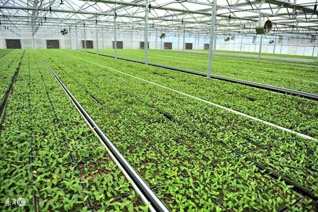 自主创业项目,2018冷门暴利创业好项目,马云教