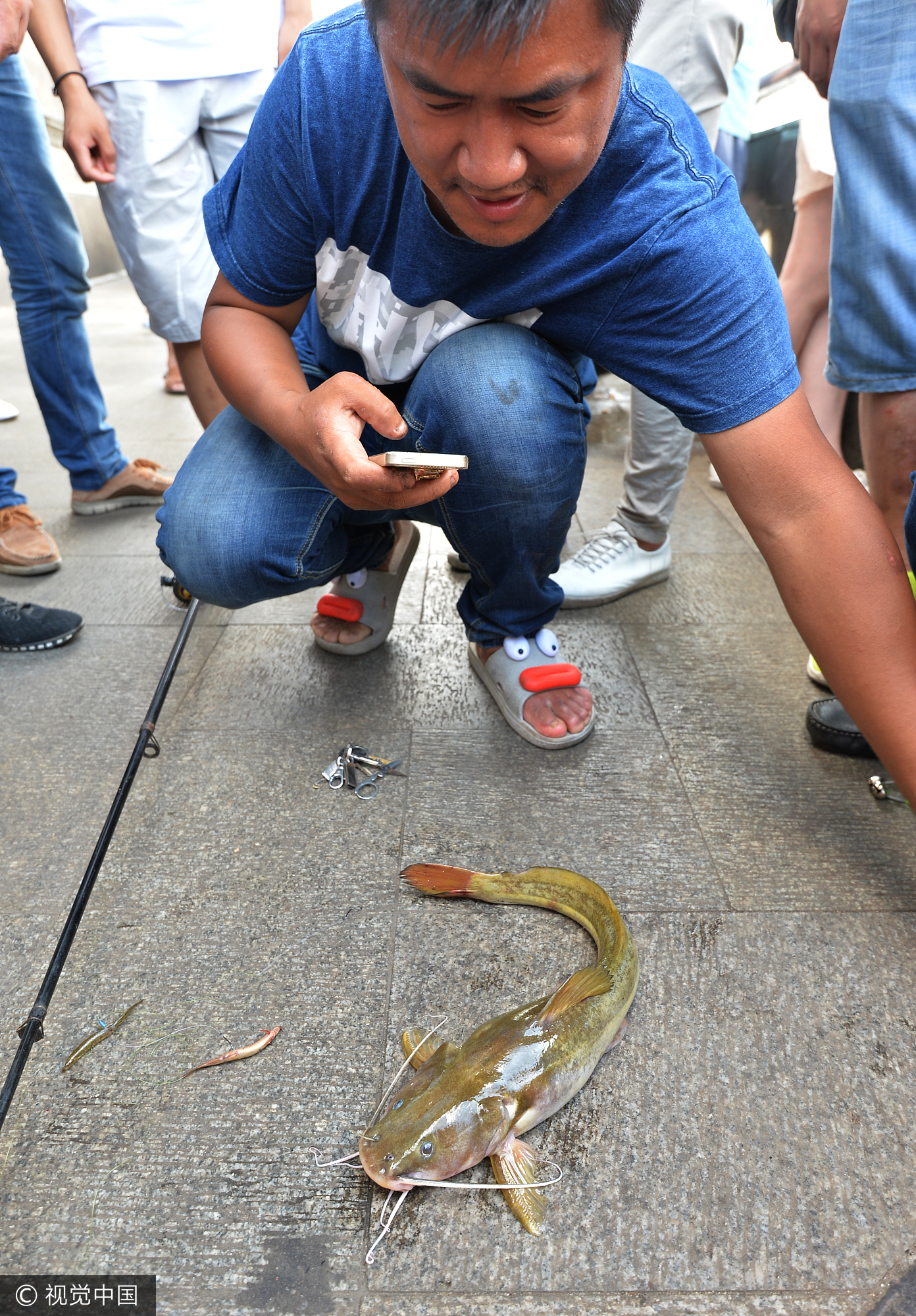 武汉一市民钓到奇特“老鼠鱼” 鱼嘴有长须 武汉一市民钓到奇特“老鼠鱼” 鱼嘴有长须