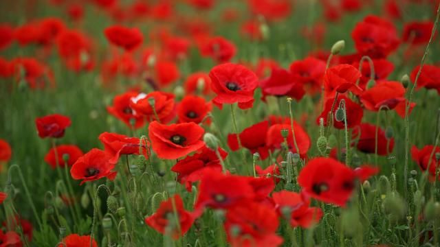 朋友圈特别暖心的话,喜欢就收藏了吧