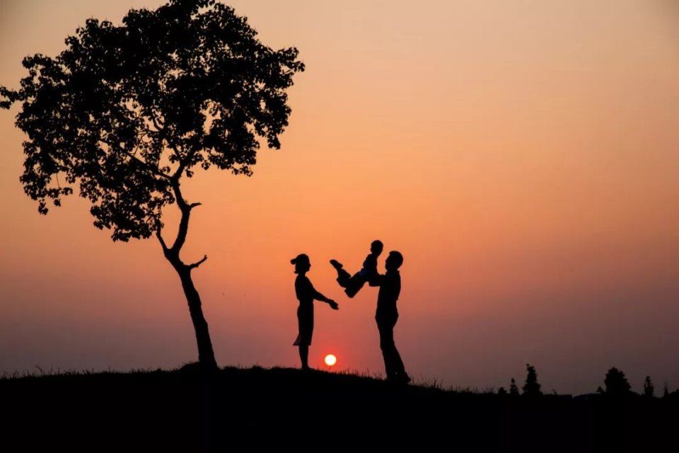 2018新继承法:原配与小三私生子之争,结局