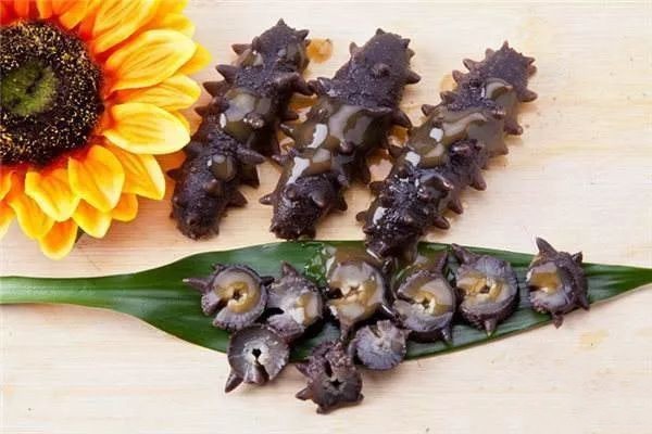 淡干海参的价格是多少?海参的营养价值有哪些