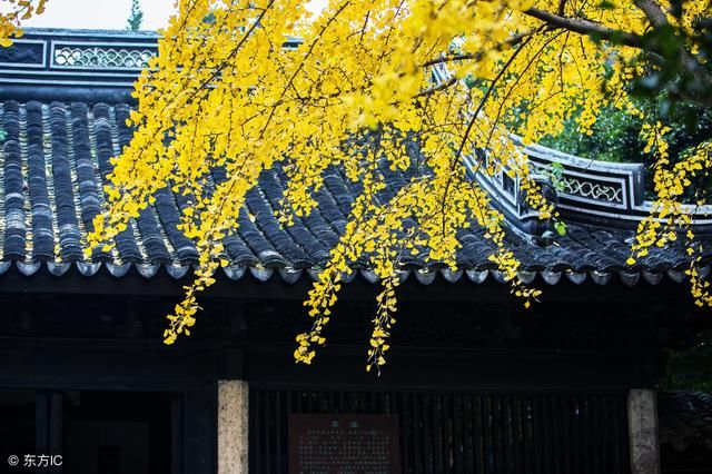 中国全域旅游魅力区县排名:山东四地贵州三席