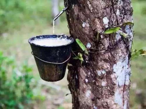 什么样的枕头比较好,枕头应该怎么样买