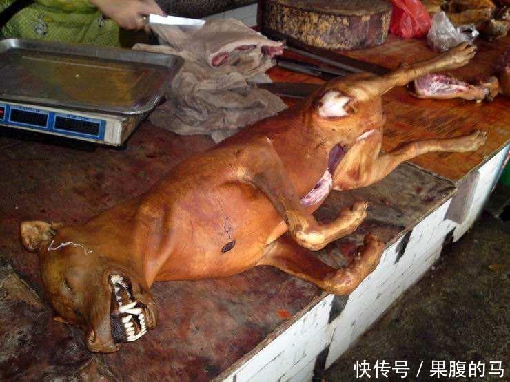吃狗肉犯法吗图片