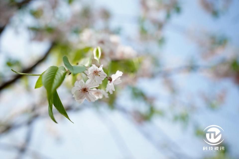 出色操控 优秀画质 索尼全画幅微单A7M3性能