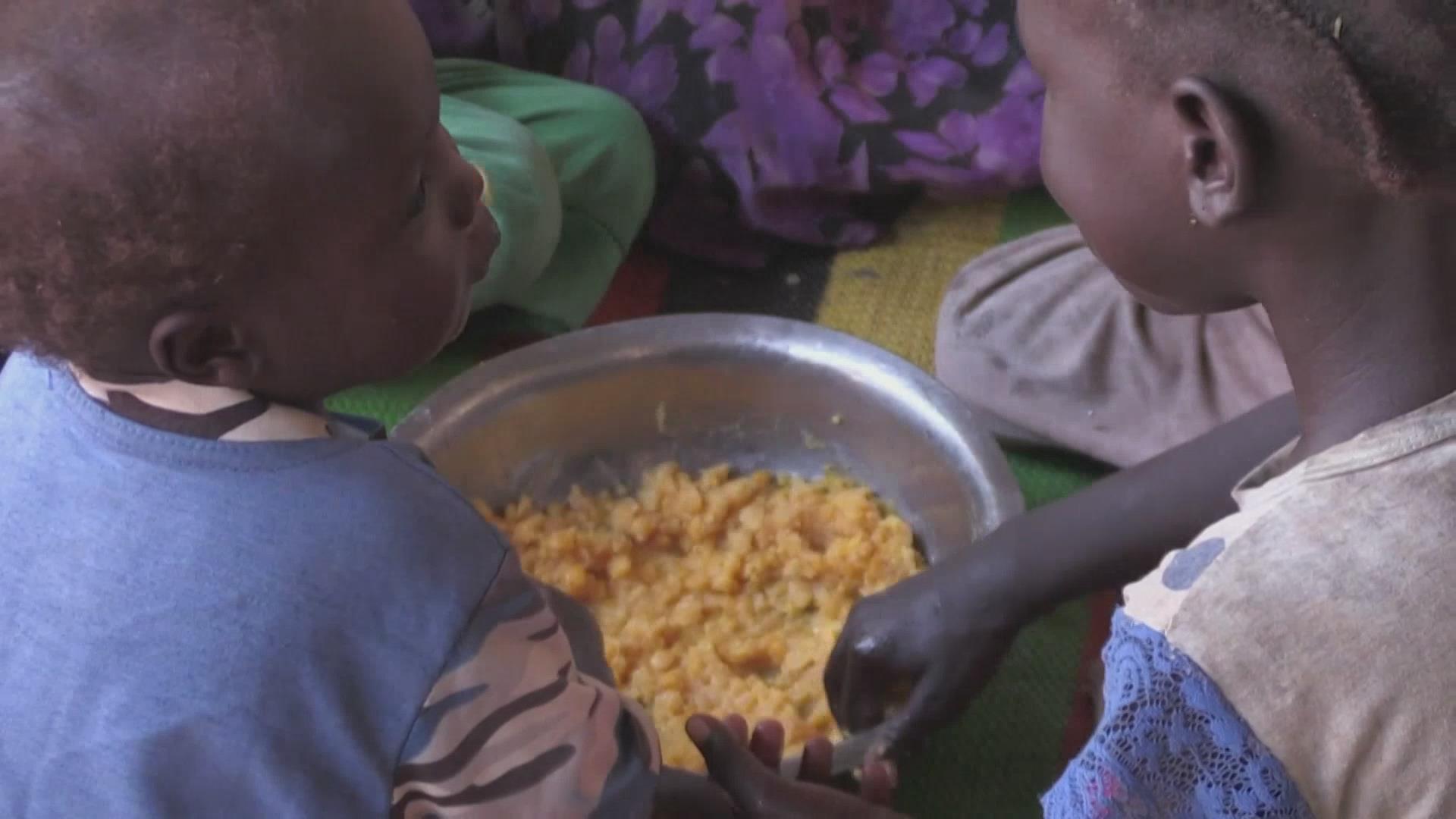 世界粮食计划署:苏丹与南苏丹边境已出现饥荒 世界粮食计划署:苏丹与南苏丹边境已出现饥荒