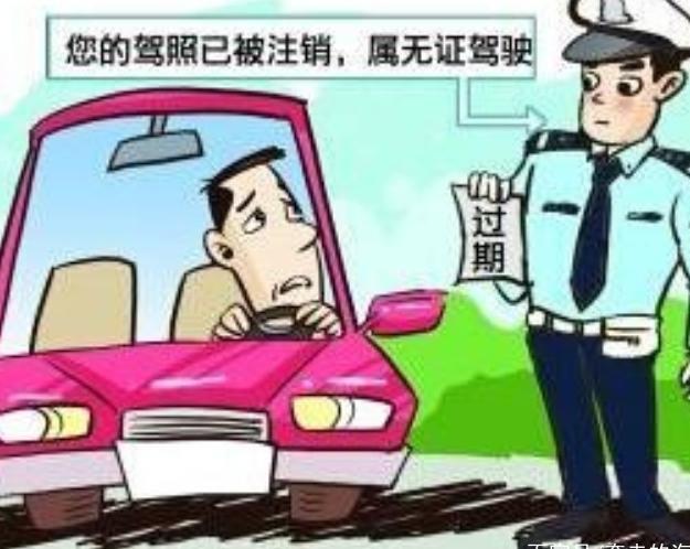 司机拿到驾照一分没扣,竟然被注销了?车管所: