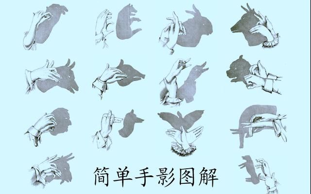 简单又有趣的光影游戏,学会它,孩子连王者荣耀